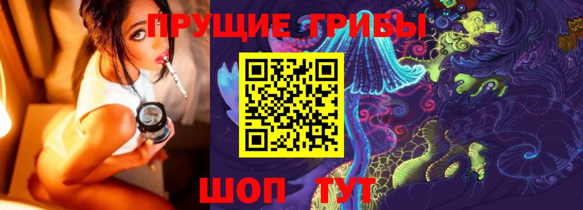 Галлюциногенные грибы Psilocybine cubensis Приморско-Ахтарск