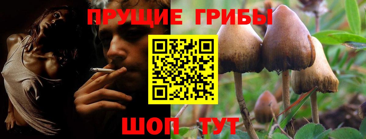 Псилоцибиновые грибы мухоморы  Псилоцибиновые грибы Magic Shrooms  Приморско-Ахтарск  Вход с VPN 